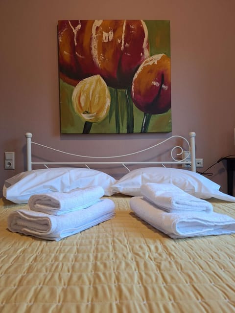 Volos Pelion View House in Volos