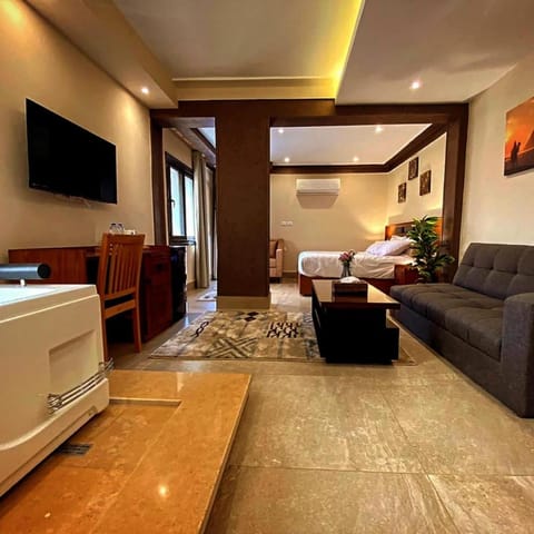 Bed, TV and multimedia, Living room, Photo of the whole room, Seating area, Bedroom
