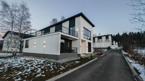 Property building, Neighbourhood, Winter, Street view