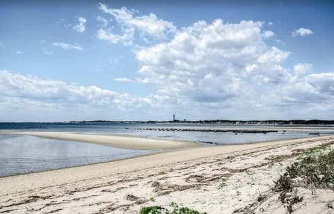 Fresh and Crisp Pet Friendly Studio Apartment in North Truro