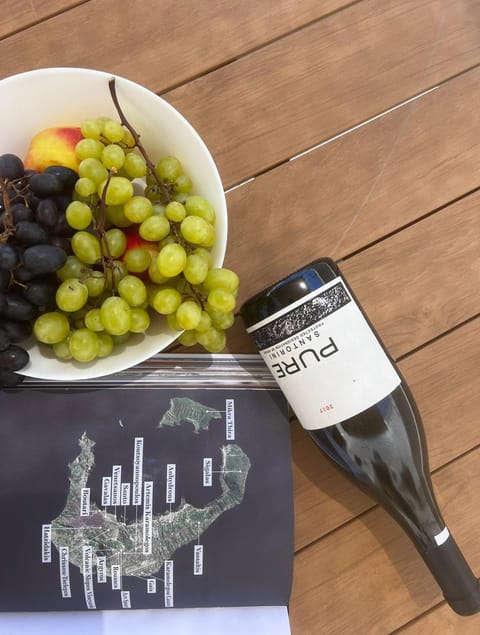 Santorini Wine Villa Downtown Fira Villa in Thera