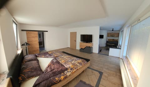 Bed, TV and multimedia, Kitchen or kitchenette, Bedroom