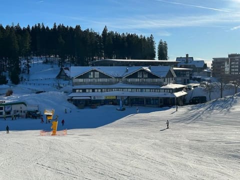 Property building, Day, Natural landscape, Winter, Skiing, group of guests