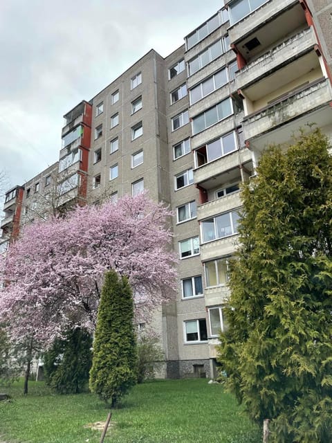 Property building, Spring