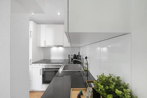 Kitchen or kitchenette, stove