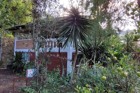 Spring, Day, Natural landscape, Garden, Garden view