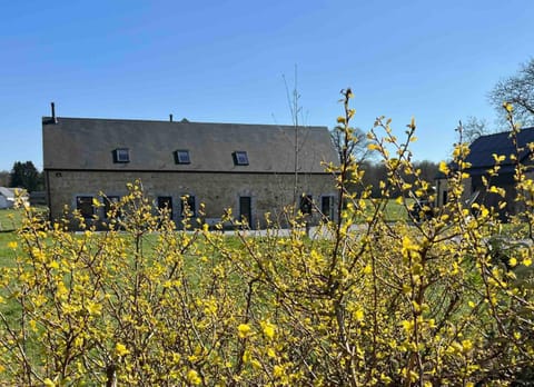 Property building, Garden, Garden