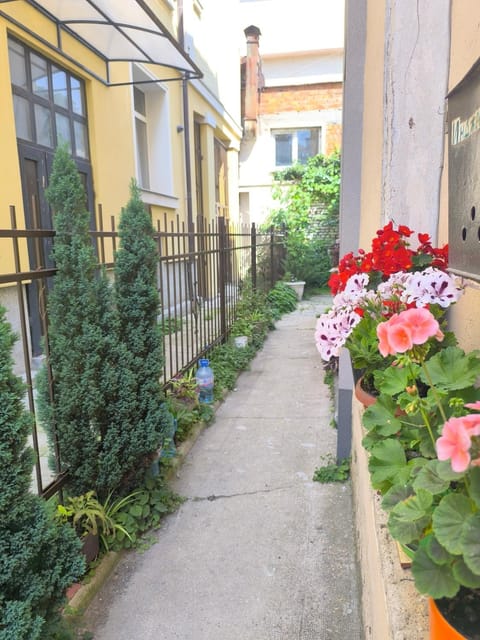 Spring, Garden, Garden view