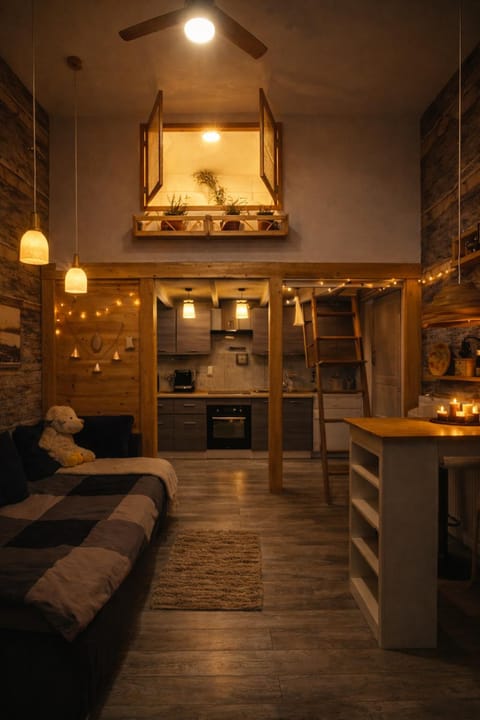 Magical double bedroom duplex Apartment in Saint-Gilles