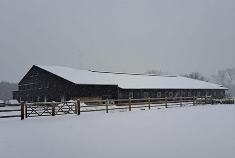 Property building, Winter