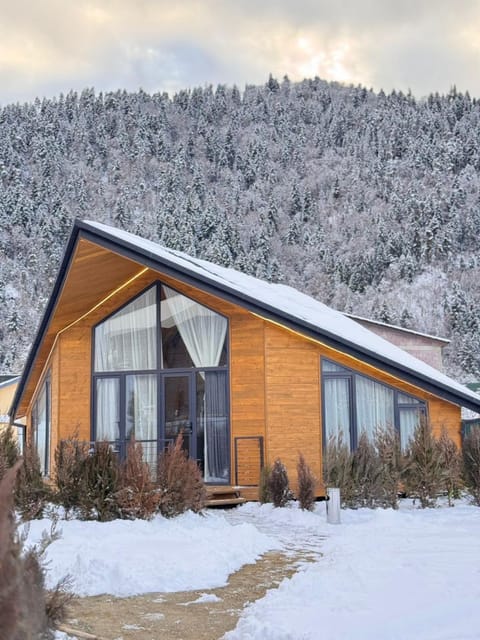 Property building, Natural landscape, Winter, Mountain view