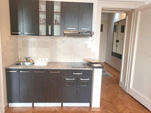 Parliament City Centre PROMO PRICE Apartment in Belgrade