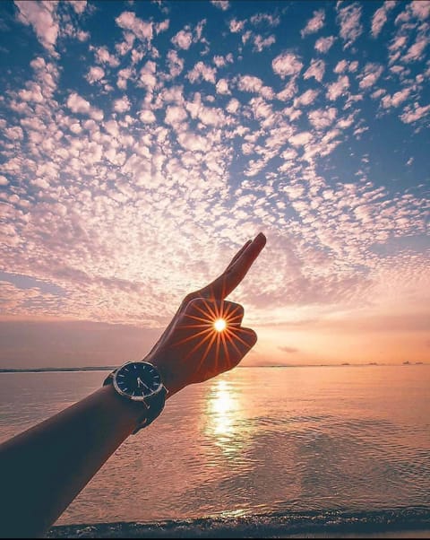 Day, Natural landscape, Sunrise