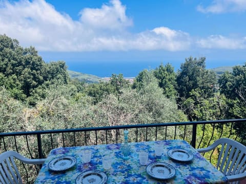 Natural landscape, View (from property/room), Balcony/Terrace, Dining area