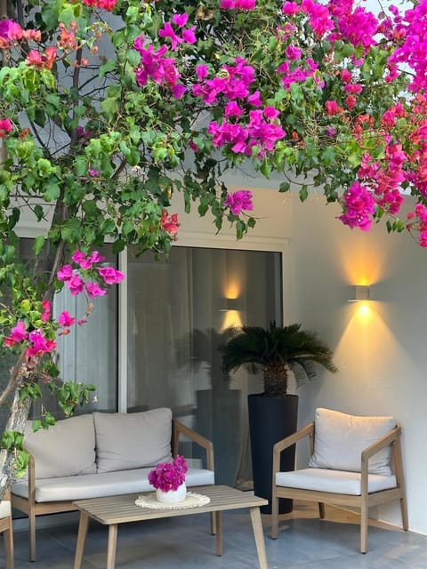 Patio, Garden, Balcony/Terrace