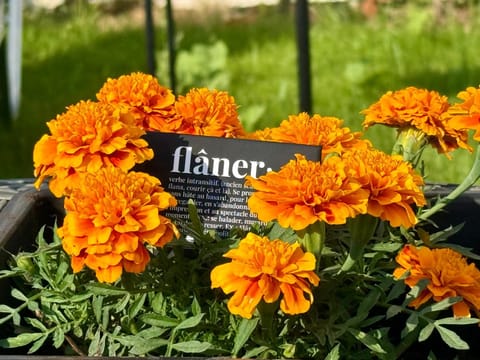 Flâneur Apartment in Halkidiki