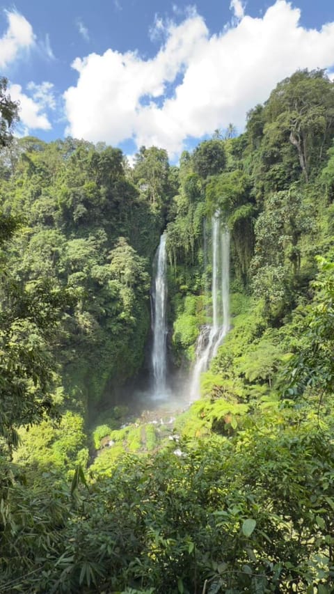 Villa Jepun Lovina Bed and Breakfast in Buleleng
