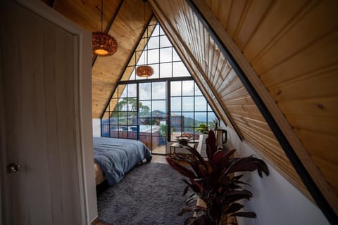 Bed, Photo of the whole room