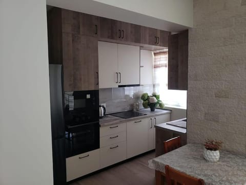 Shkoder City Center Apartment Apartment in Montenegro