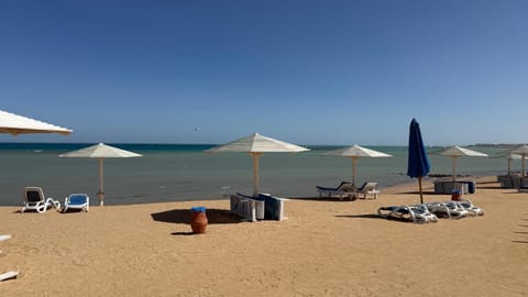 Beach, Sea view, sunbed