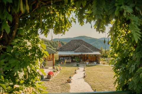 Day, Natural landscape, Garden view, Mountain view