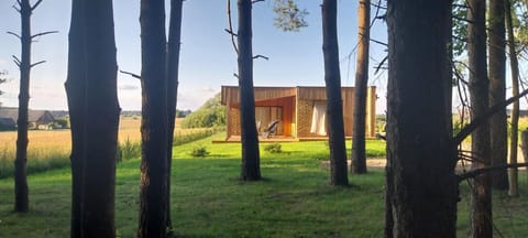 Mango namelis House in Lithuania