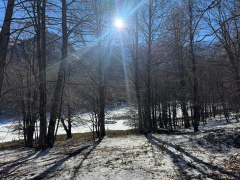 Piccola Marmotta Apartment in Ovindoli