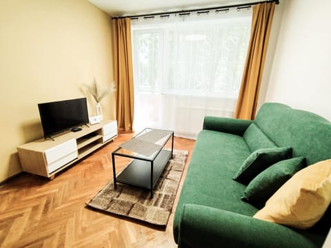 Communal lounge/ TV room, TV and multimedia, Living room