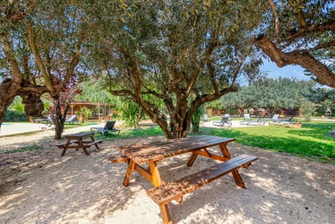 Entre Viejos Olivos Villa in Safor