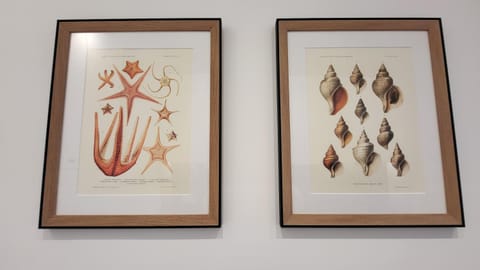 Decorative detail, kitchen