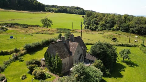 Garden, Garden view, Landmark view