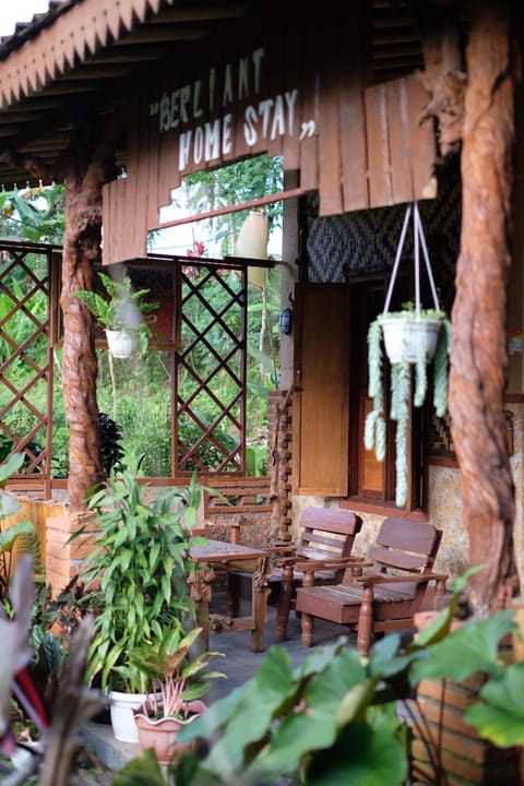 Property building, Patio, Day, Garden view