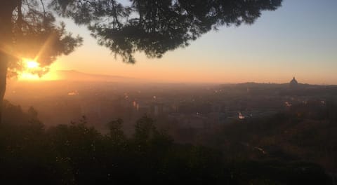 Nearby landmark, Sunrise