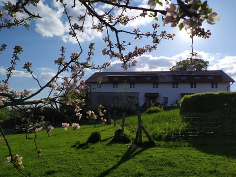 Property building, Spring, Natural landscape, Garden