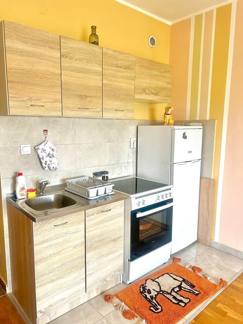 Charming studio Apartment in Podgorica