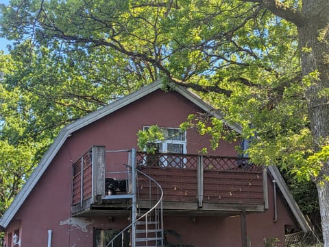 Property building, Natural landscape, Garden