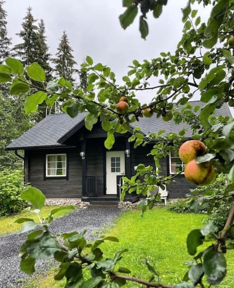 Property building, Garden view