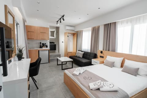 Bed, TV and multimedia, Kitchen or kitchenette, Living room, Photo of the whole room, Seating area, Bedroom, towels