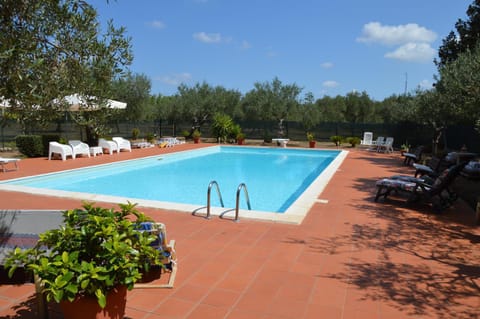 Garden, Garden view, Pool view, Swimming pool, Open Air Bath, Public Bath, sunbed