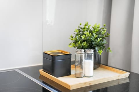 Kitchen or kitchenette, stove, kitchen