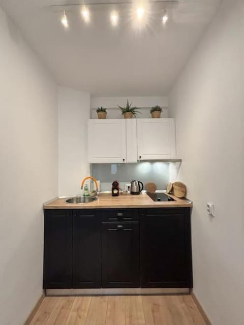 Kitchen or kitchenette, minibar, stove