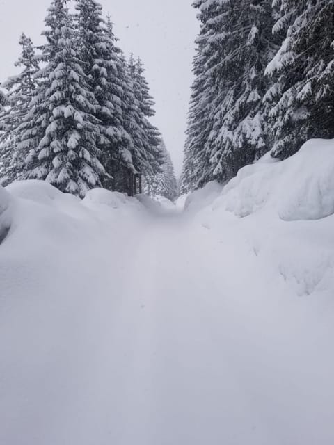 Eko Katun Hako Nature lodge in Montenegro