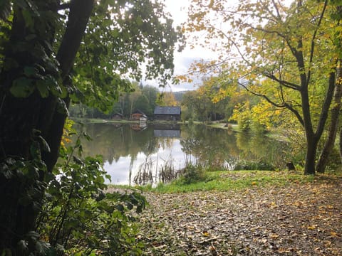 Property building, Lake view