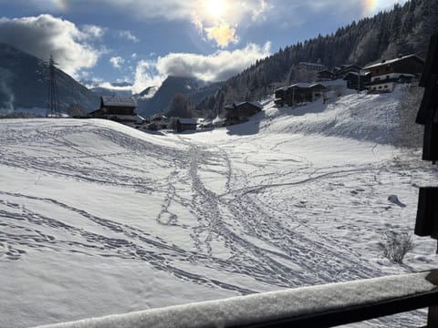 Winter, Mountain view