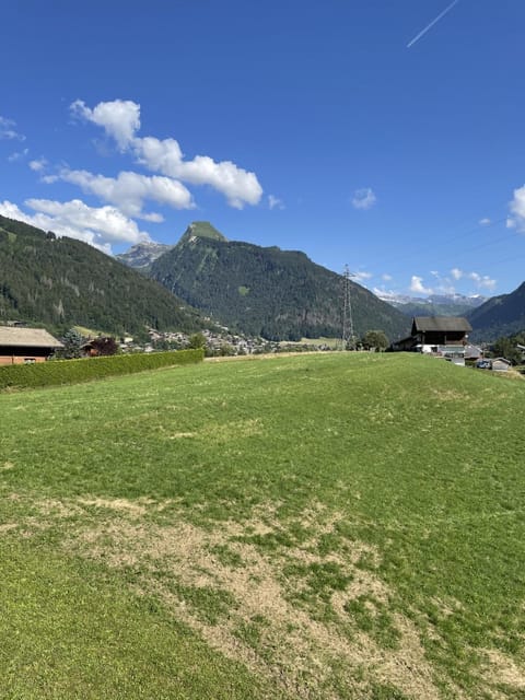Natural landscape, Garden, Mountain view