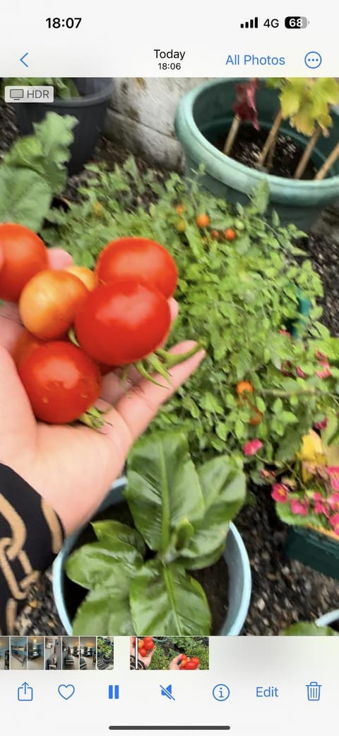 Waterford City Center TownHouse Vacation rental in Waterford City