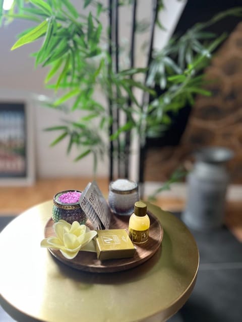 La Suite - Villa Valmy - Hypercentre - Gare SNCF Apartment in Montluçon