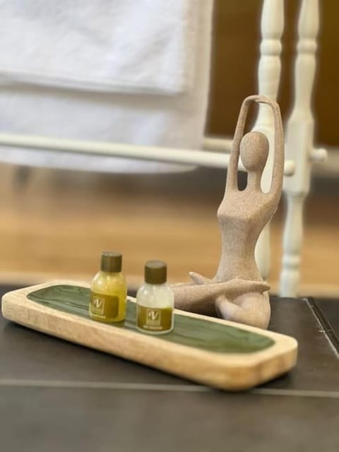 La Suite - Villa Valmy - Hypercentre - Gare SNCF Apartment in Montluçon