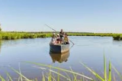 Day, Natural landscape