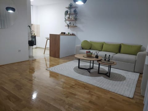 Apartman Luka Apartment in Vojvodina